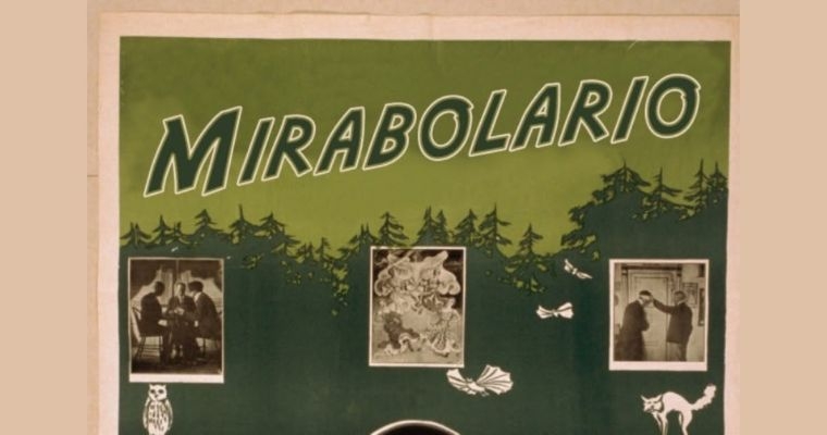 Mirabolario | Show di mentalismo